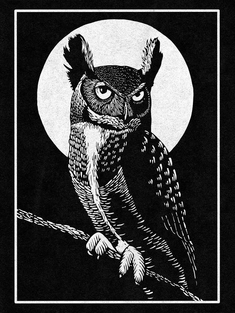 Black and white image of a great horned owl