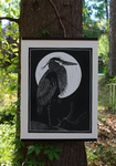 Birds with Human Souls: The Great Blue Heron by Ansel Moore