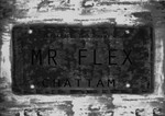 Requiem: Mr. Flex by Emily Parker